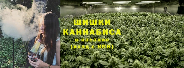 ECSTASY Богородицк