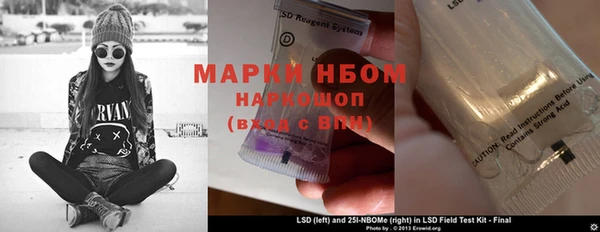 ECSTASY Богородицк