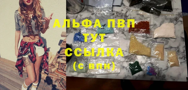 ECSTASY Богородицк
